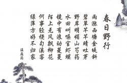 -一役定乾坤，2026世界杯C组东欧铁骑罗马尼亚碾压奥地利，登贝莱闪电双响演绎进攻美学