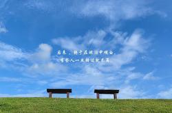 LOL赛事-中亚铁骑踏破瑞士军刀，2026世界杯E组焦点战，C罗以王者之姿主导乌兹别克斯坦奇迹