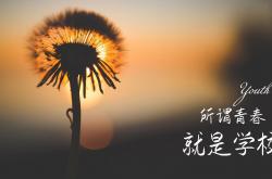 英雄联盟总决赛-北欧冰与火，波兰中场铁幕下的致命一击，C组唯一剧本的诞生