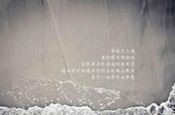 英雄联盟总决赛时间-孤峰独照，当福登的左脚，为足球帝国刻下唯一的神谕—2026世界杯决赛巴西vs塞尔维亚终极解码