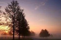 英雄联盟总决赛直播-唯一性之光，葡萄牙对阵雷恩，维尼修斯完美发挥铸就经典