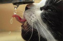 LOL决赛-他攻你，我锁你，霍勒迪撕裂防线，步行者铁桶阵让快船沉没