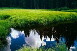 英雄联盟总决赛门票-如果结局不同，火箭末节逆转绿军，重写历史轨迹的东决焦点战