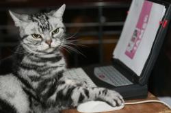 英雄联盟总决赛时间-季后赛抢七之夜，莫兰特一枪封神的绝杀传奇