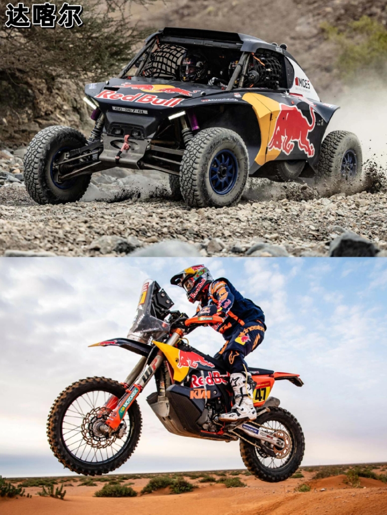 红牛车队鏖战红牛二队,阿隆索关键制胜 红牛车队鏖战红牛二队,阿隆索关键制胜