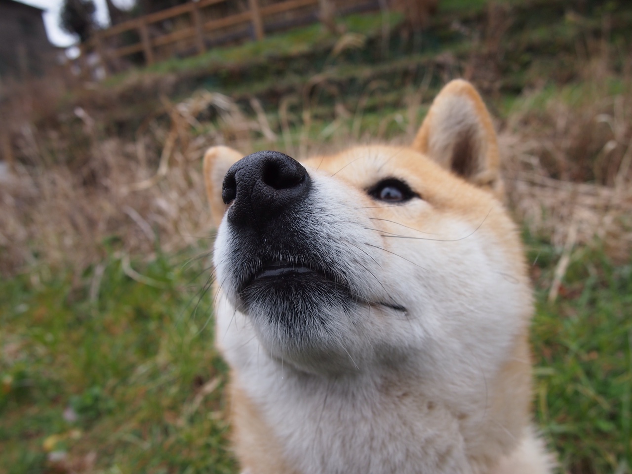 赛道终章，当勇士越过活塞，浓眉于弯道接管比赛