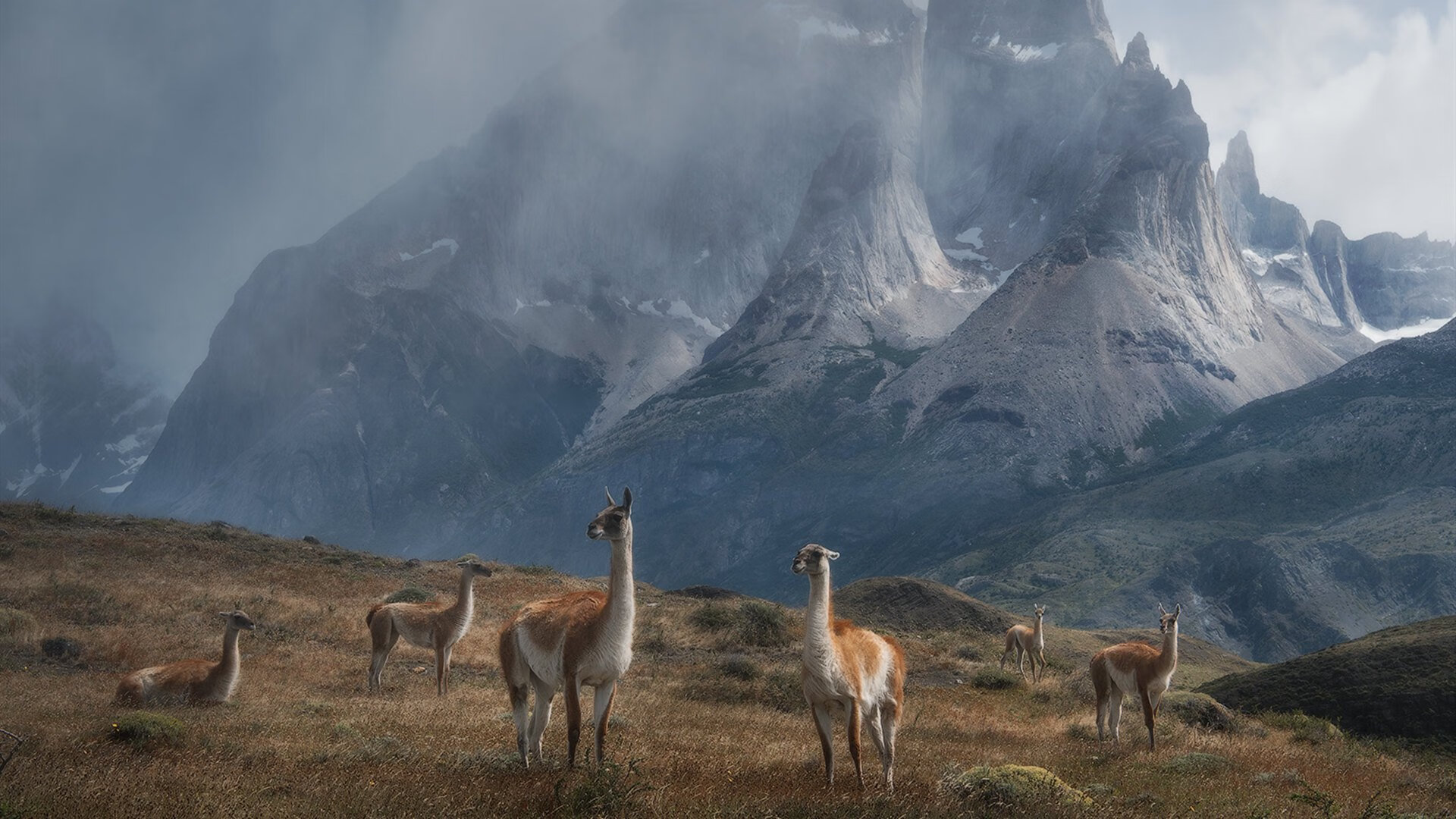 孤岛守护者，当巴萨的风暴遇见戈麦斯的锚
