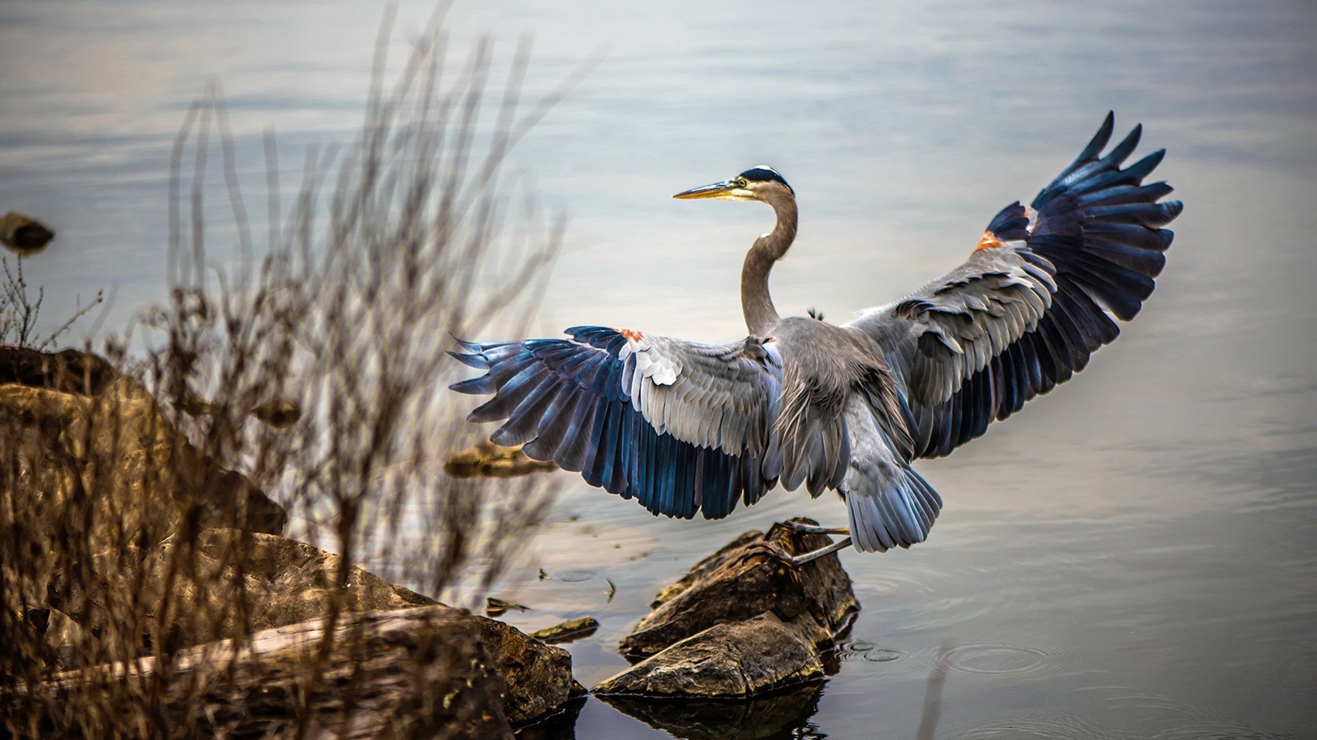 曼彻斯特的天空，今夜为一场沉稳的胜利而明亮—当曼联将巴黎的星光稳稳落于麾下
