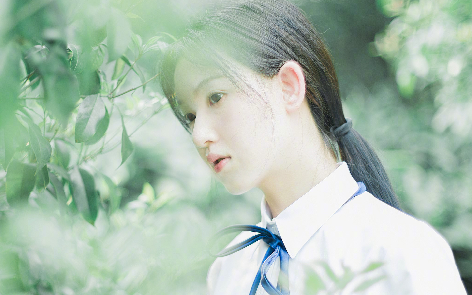 冰与火的节奏熔炉，库里如何成为破解热火的唯一解法