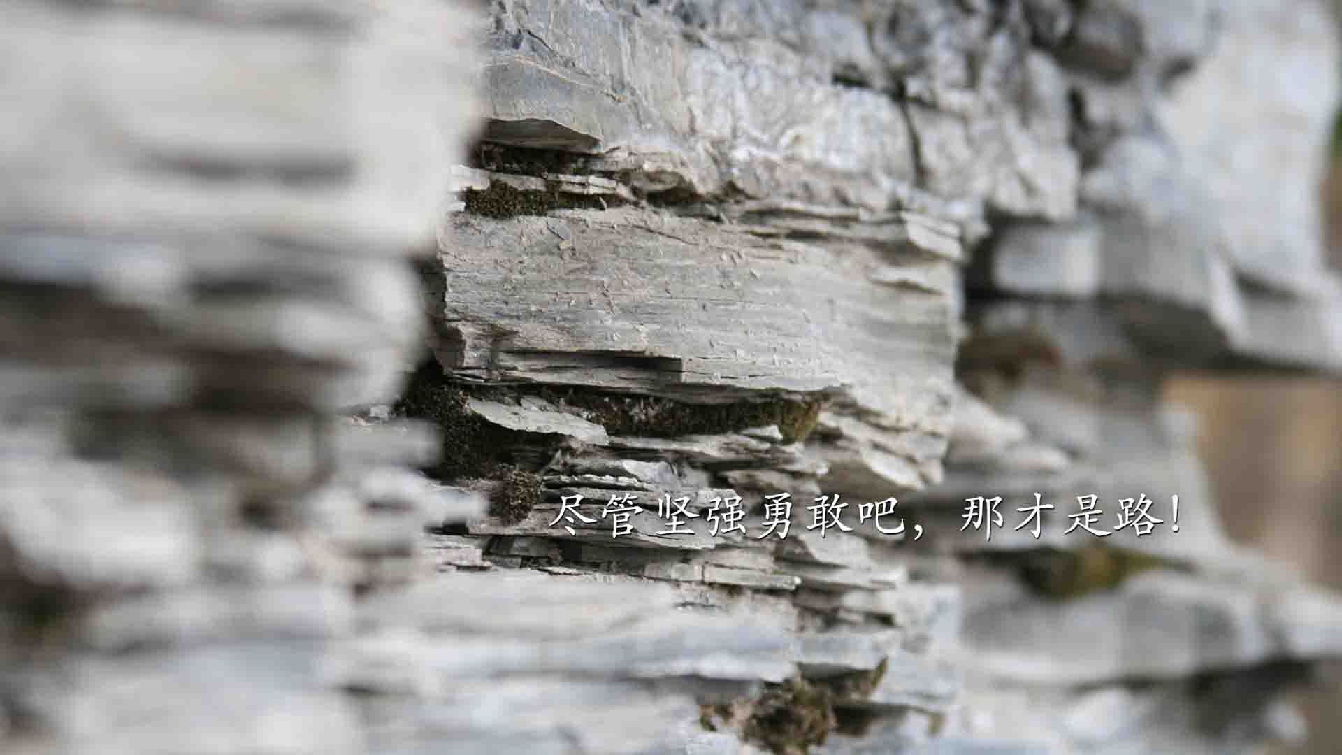 东方明珠见证草原风暴，福克斯37分如尖刀刺破上海防线