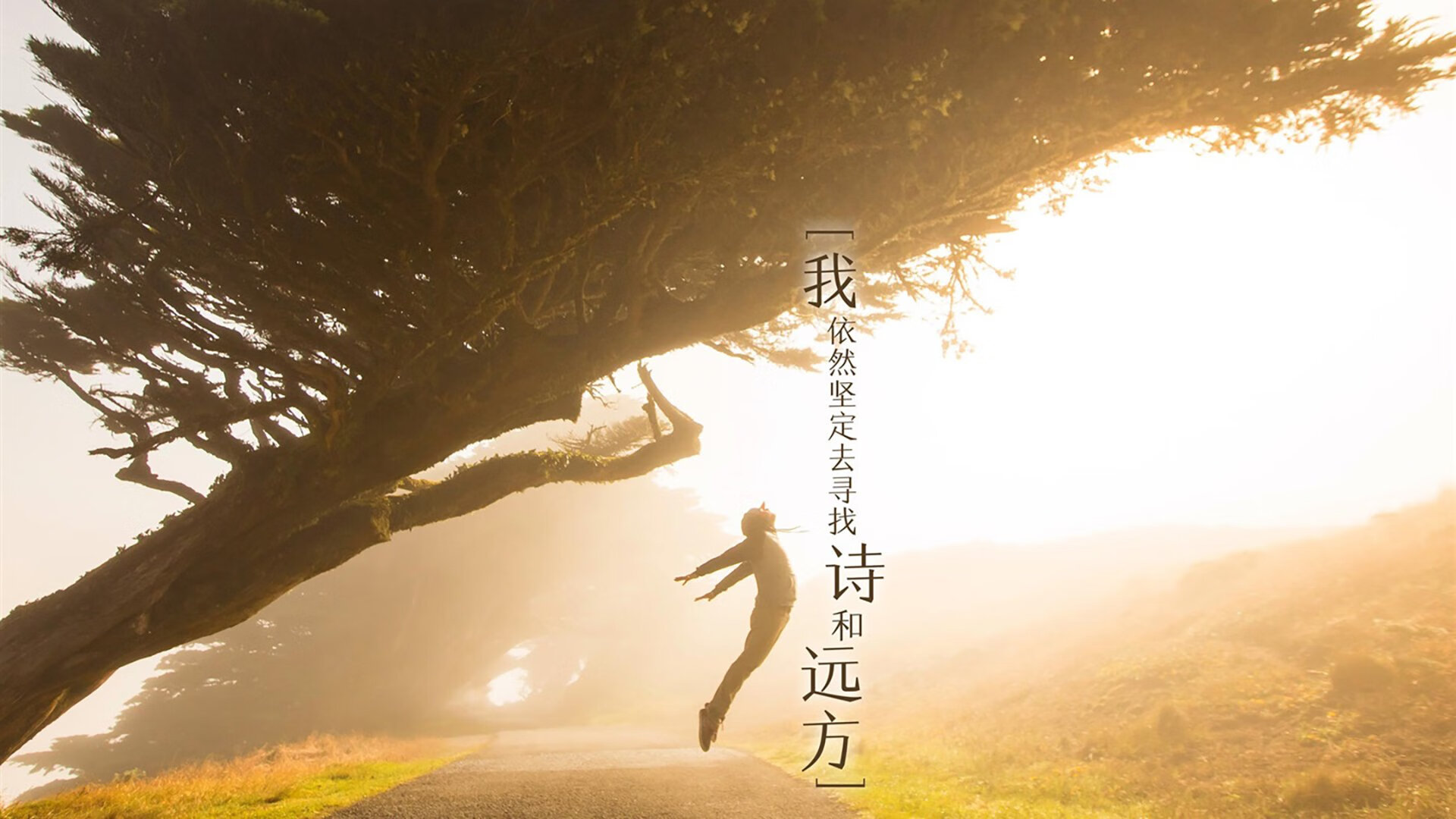 绝境之王,格纳布里末节接管威尔士对阵韩国之战