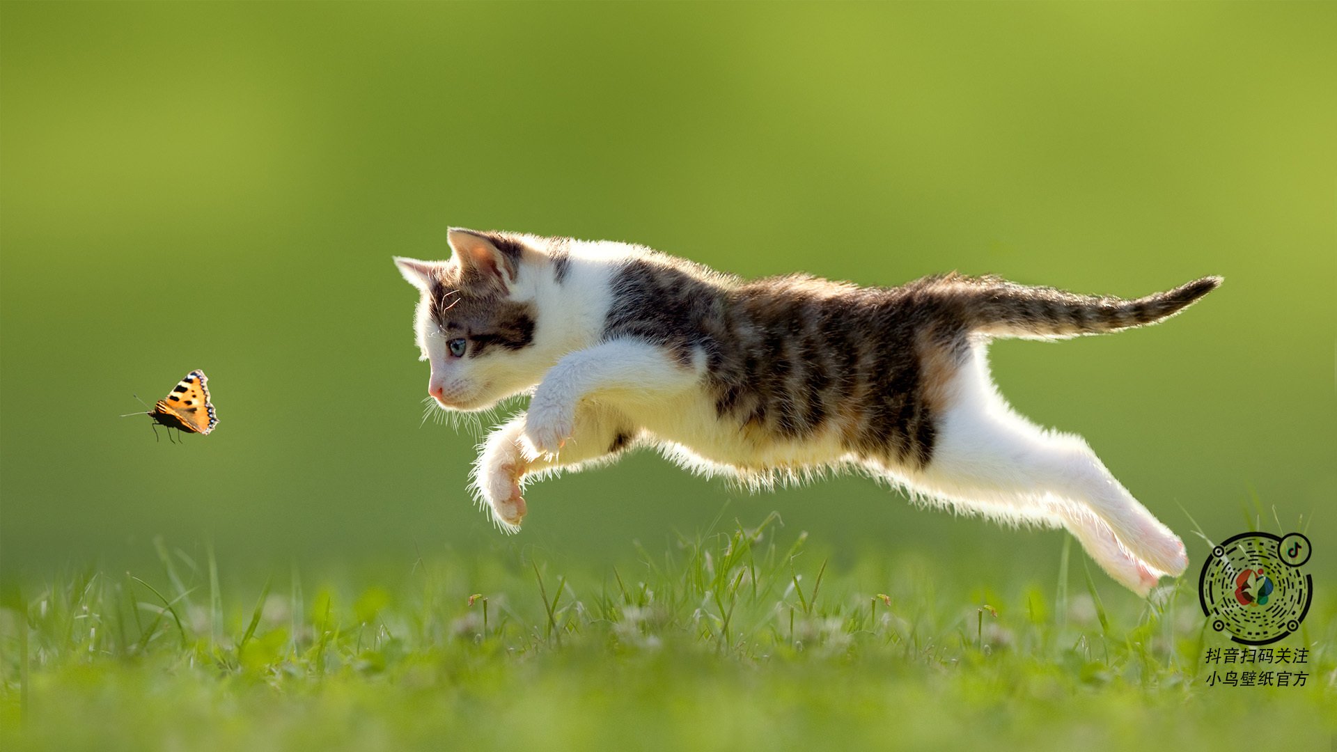 跨越大陆的青春风暴，当德意志战车碾过都灵，萨卡在巴黎的星光已悄然点亮