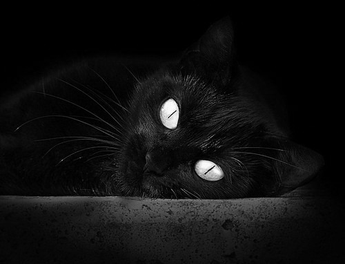 冰封王座，欧冠决赛之夜，金玟哉用一记头槌重绘足坛权力版图