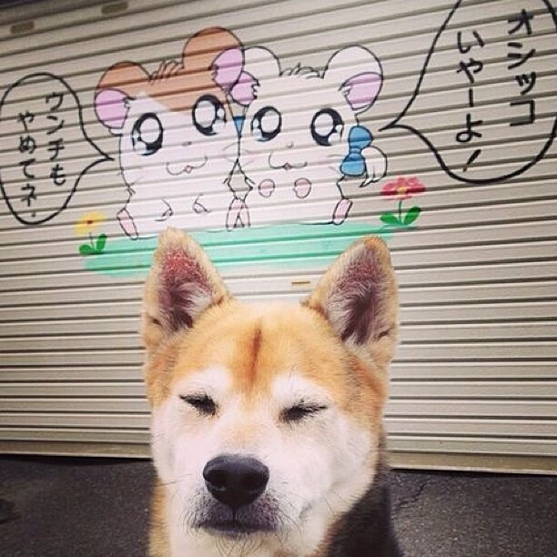 帕尔默,当一具破碎肉身成为全队渡河之桥