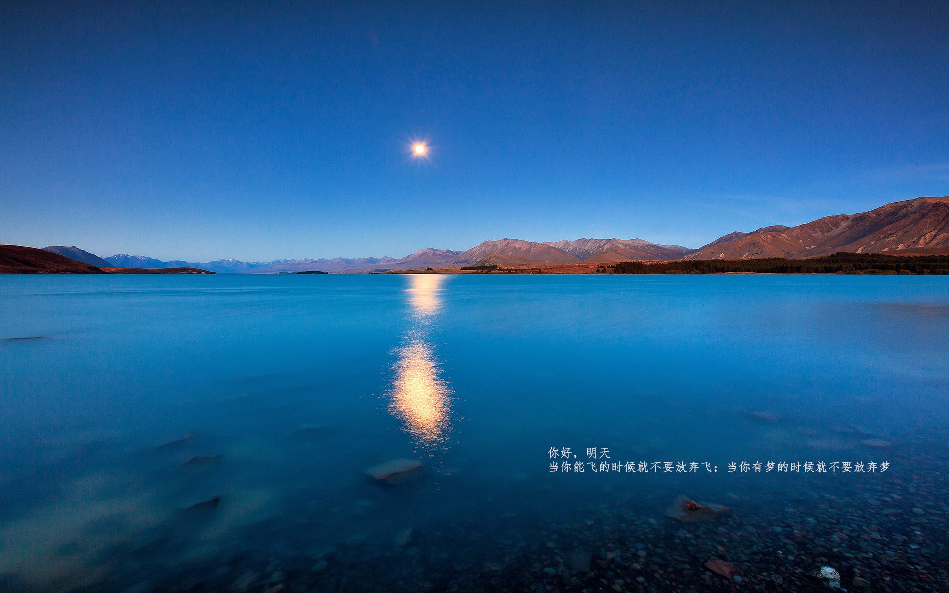 黄金枷锁，当楚阿梅尼用巫毒节奏捆住红龙，非洲足球的现代灵魂在起舞