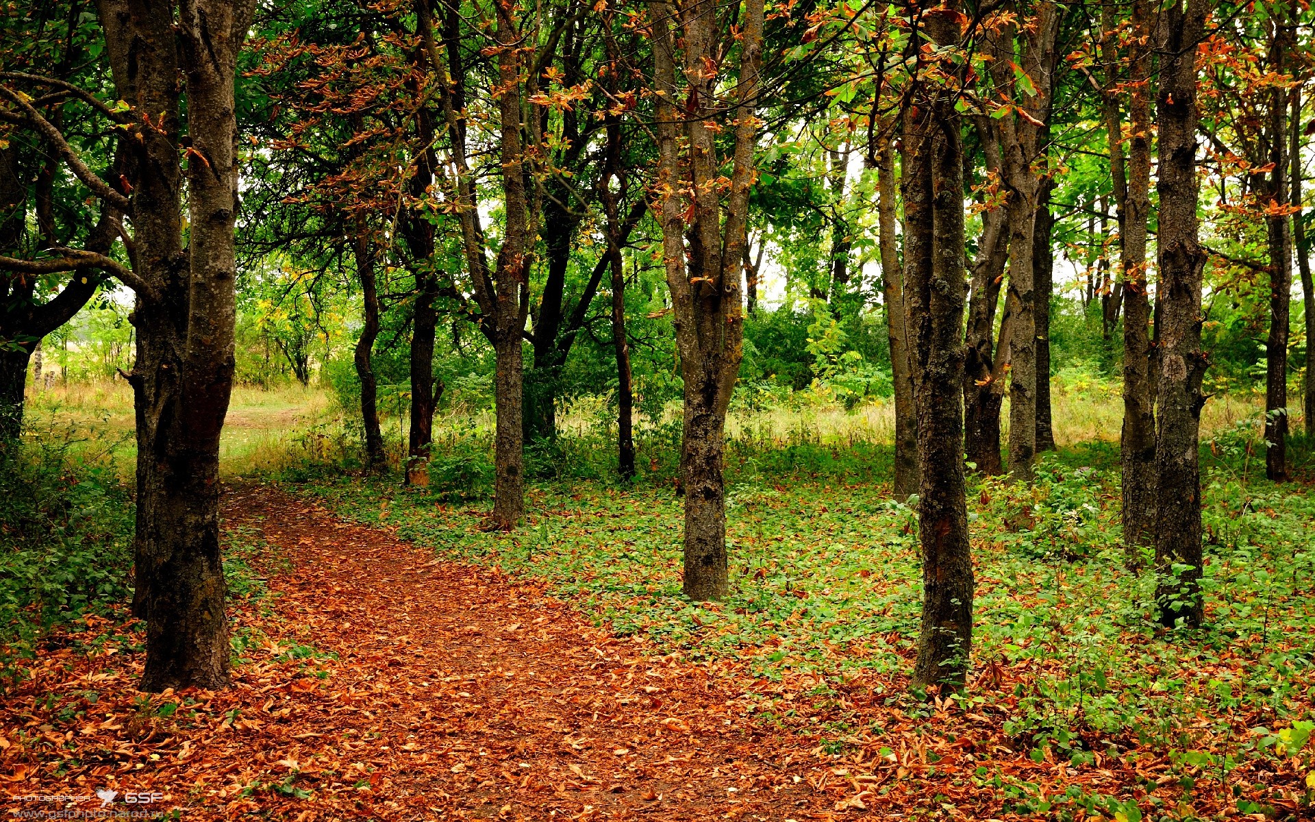 跨越联盟的焦点战,保罗在山西队与老鹰的对决中重拾荣耀
