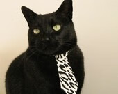 全明星的夜晚，舞台属于维尼修斯