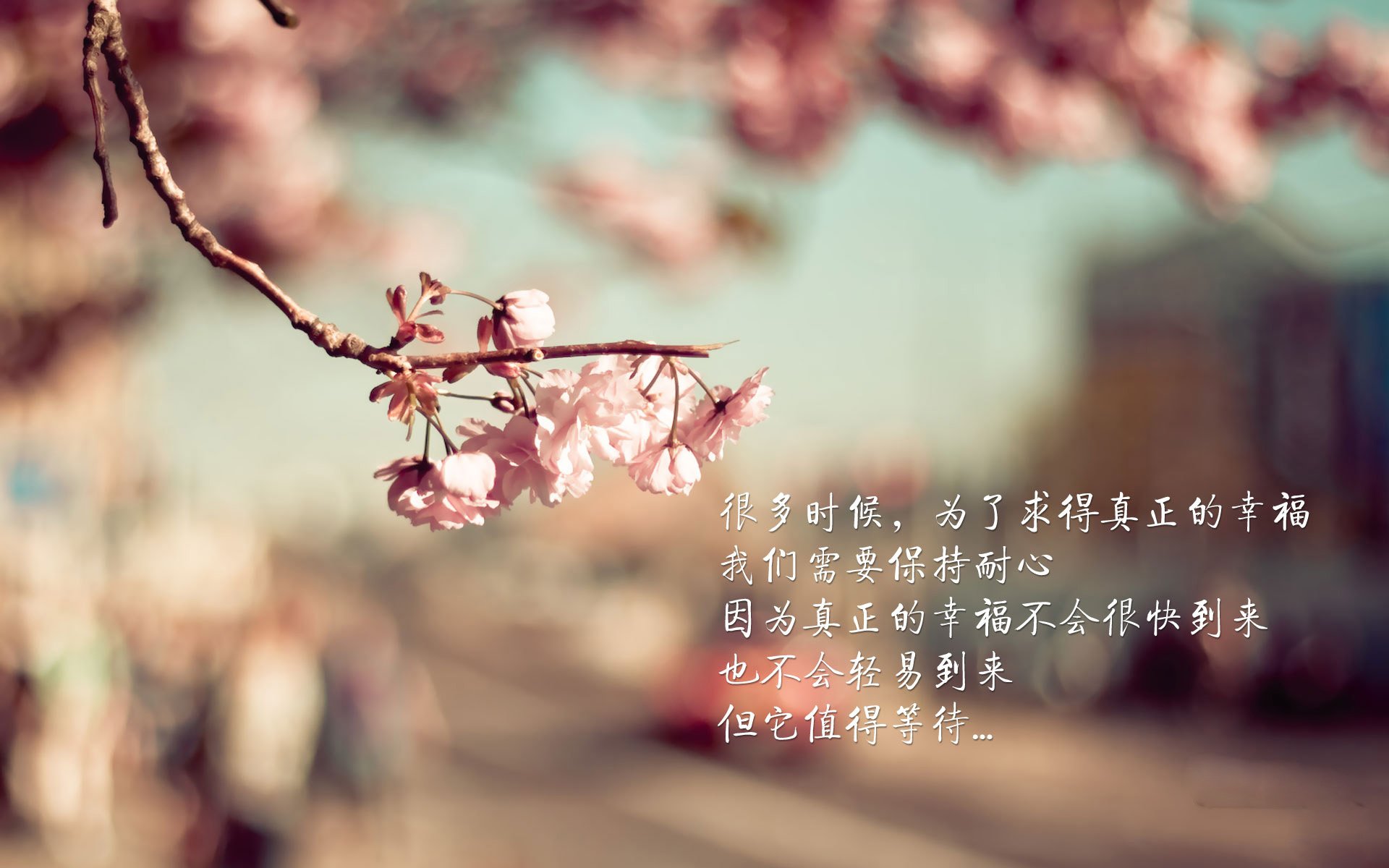 2026世界杯E组强强对话，潘帕斯铁骑碾压南美宿敌，法兰西神锋吉鲁凌空闪耀