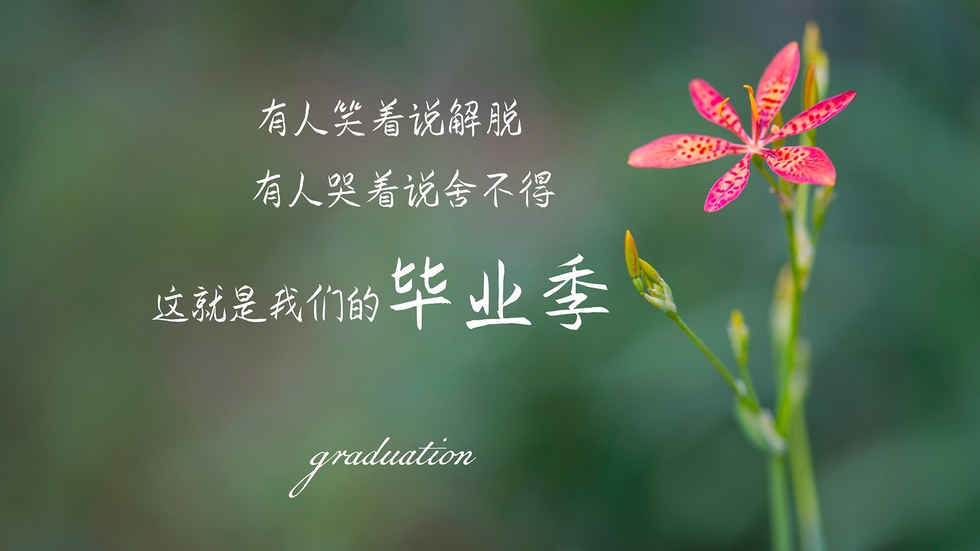 纵横绿茵，唯此一夜，2026世界杯出线战，喀麦隆绝地逆袭英格兰，姆巴佩独耀全场