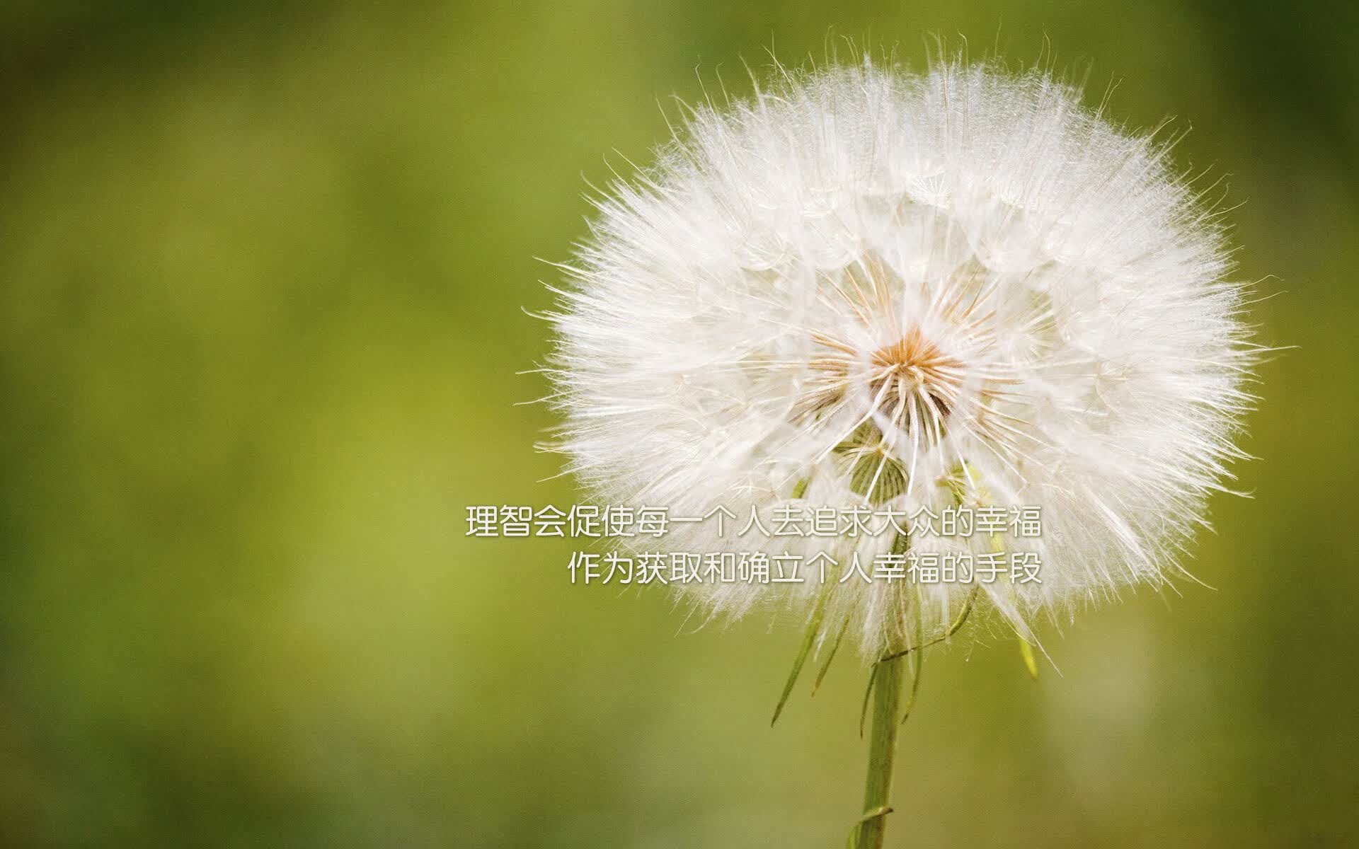 蓝衣铁壁与沙漠风暴,2026世界杯B组,吉鲁领衔法国击穿阿联酋压制神话