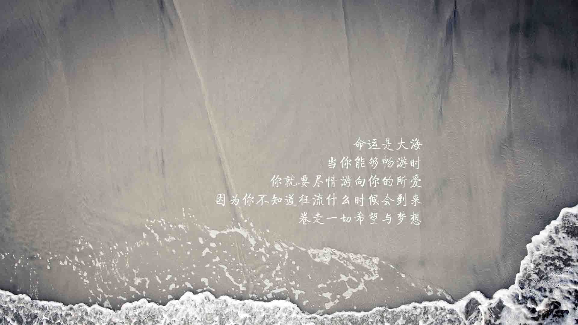 生死三分钟,厄瓜多尔如何在2026世界杯E组逆转巴西,萨卡与门将联手缔造神迹