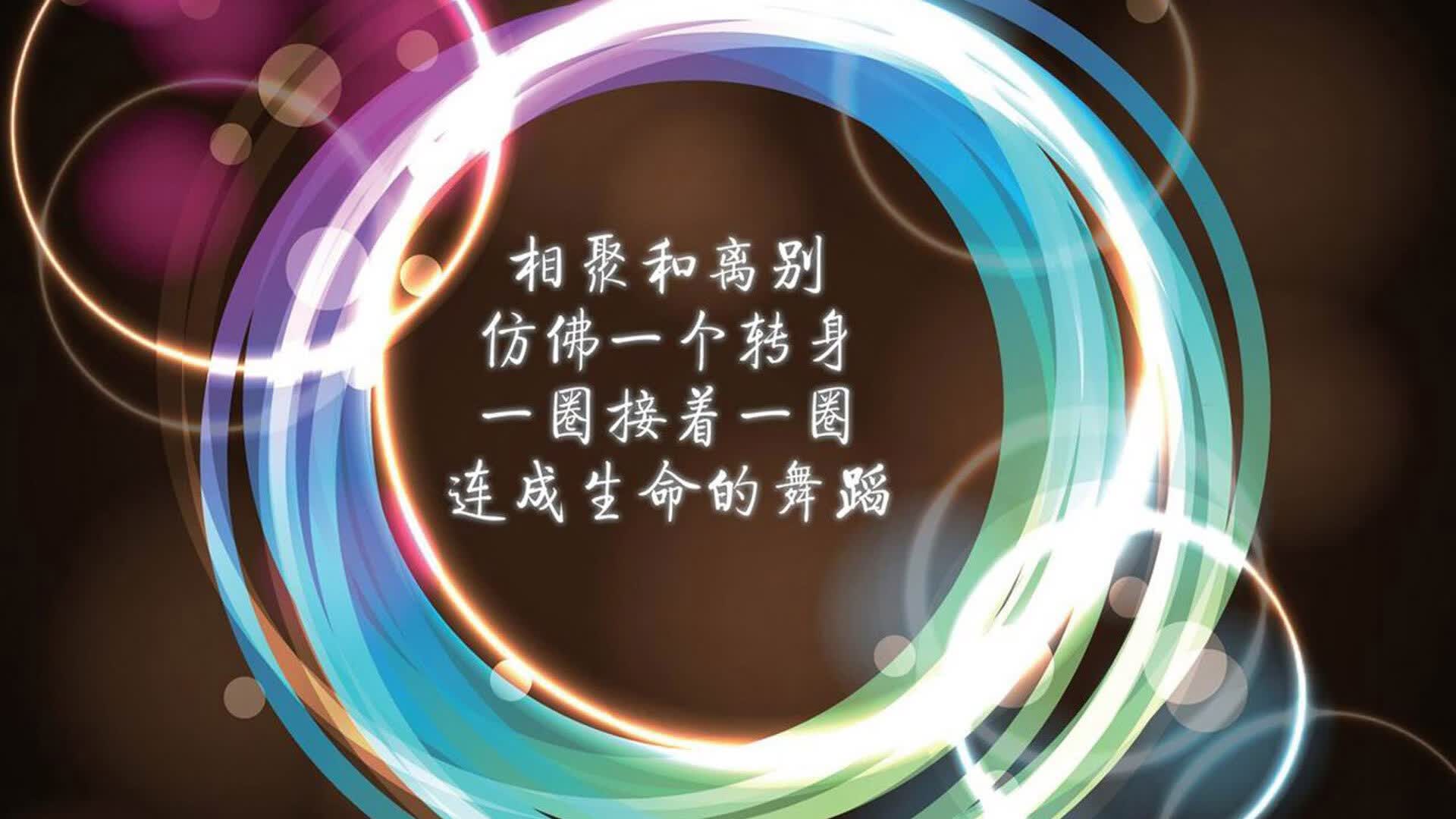 唯一性的碰撞,齐耶赫的光芒照亮哥斯达黎加与喀麦隆的淘汰赛之夜