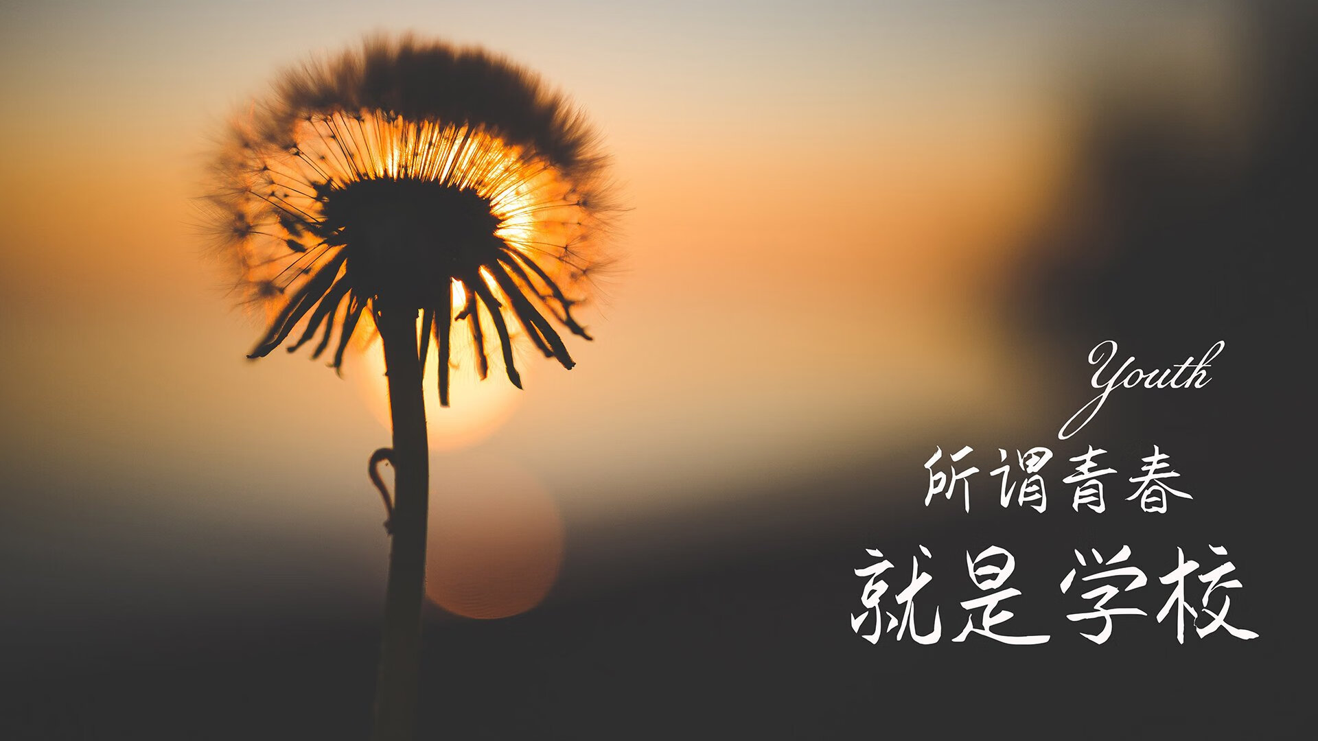北欧冰与火，波兰中场铁幕下的致命一击，C组唯一剧本的诞生