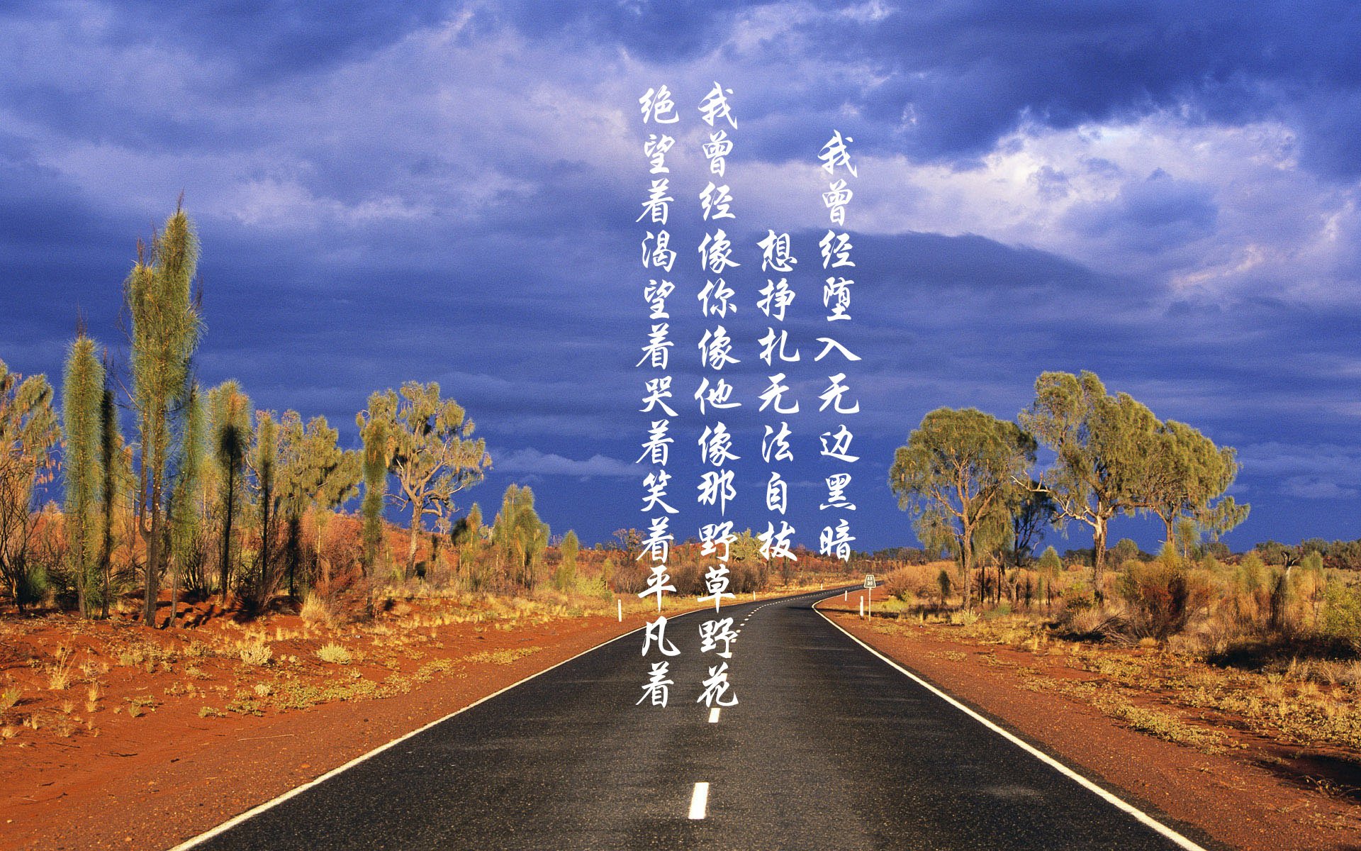 多伦多之夜，枫叶之刃刺穿钟表之国，2026世界杯F组加拿大绝杀瑞士，罗德里戈星光闪耀